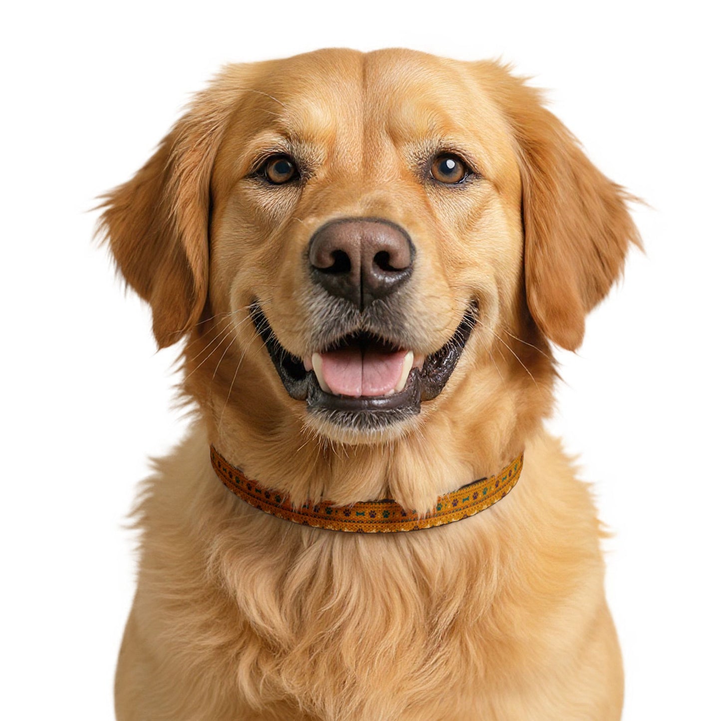 Clip-on Pet Collar