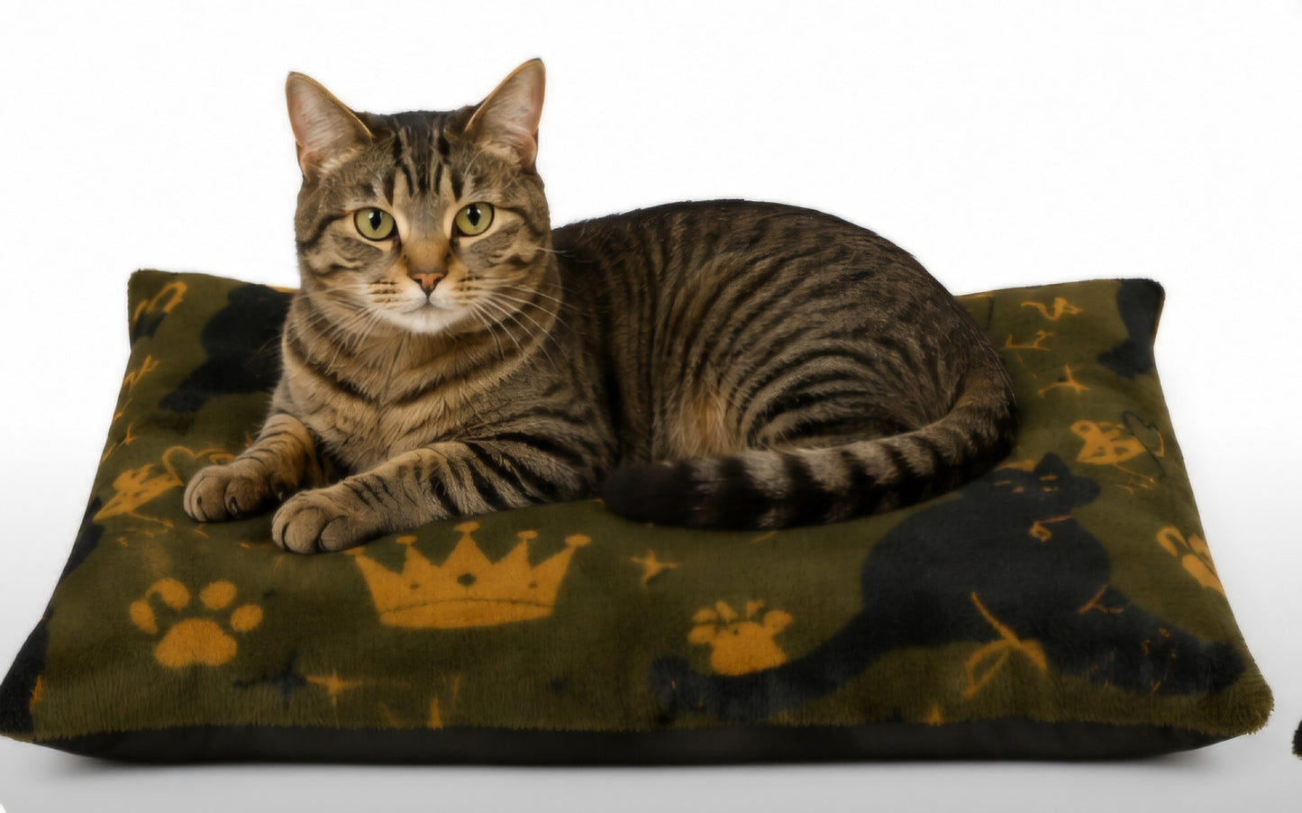 Pet Bed